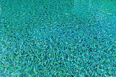 肉鸽游戏《灾厄幸存者》Steam页面上线 支持中文